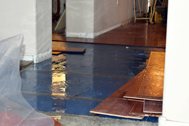 Professional Sewage Cleanup technician working in La Crosse, KS
